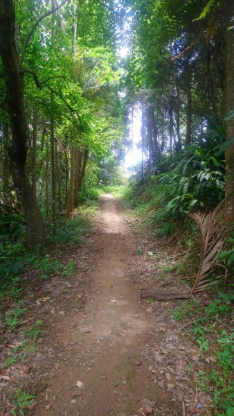 梅峰古道、竹子尖山、觀音步道繞一圈1721228