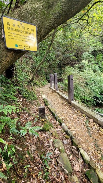 擎天崗系步道巡禮2104324