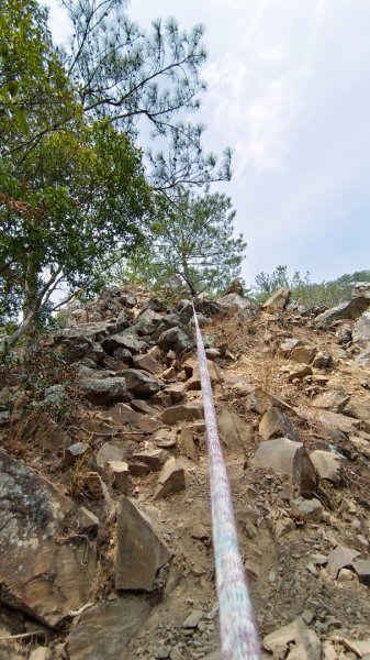 東卯山東南稜原路往返（德芙蘭步道小o繞）尋找失落的石觀音2082144