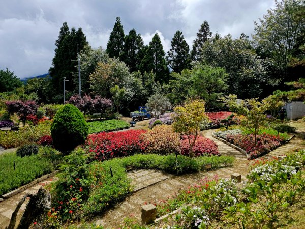 野馬瞰山步道-2025森遊竹縣皮皮獅探險隊2895225
