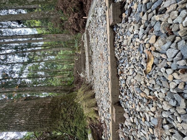 2025/04/04小百岳第022「東眼山」2753245