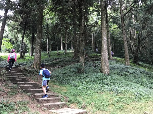 109年8月15日東眼山國家森林1095350