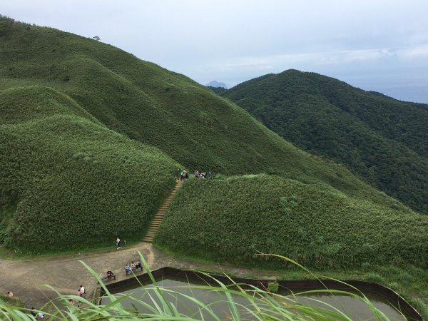 宜蘭聖母山莊步道(抹茶山)1079013