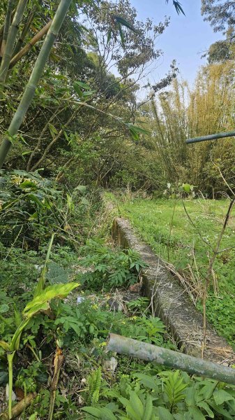 20260320永公廢棄水廠-永公路-小草山西南-1ICRT電台-中庸一路-中庸五路-新安路3022415