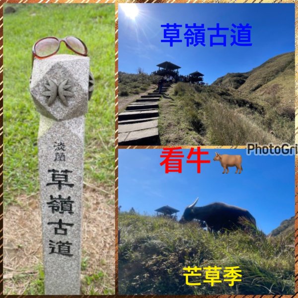 福隆-草嶺古道-芒草季/頭城吾居吾墅:灣坑頭山-大嶺古道