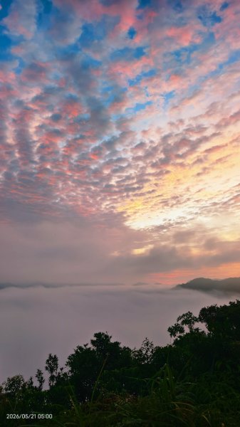 #坪林 #南山寺 #飛碟茶園 #慈瑤宮 #環山路 #日出 #雲海 #觀音圈 5/21-233058233