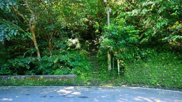 大尖山瀑布2932159