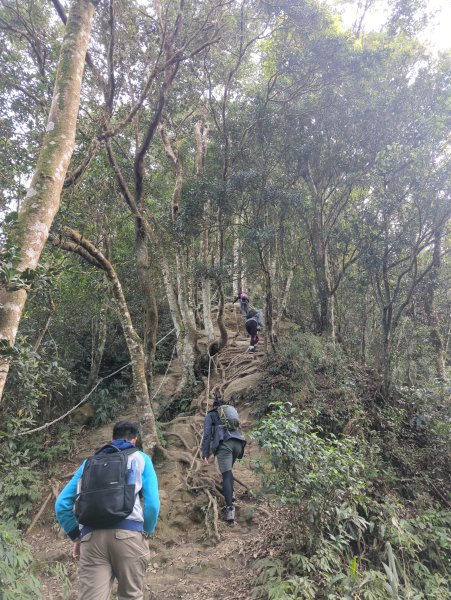 2025.01.18－仙山步道2706103