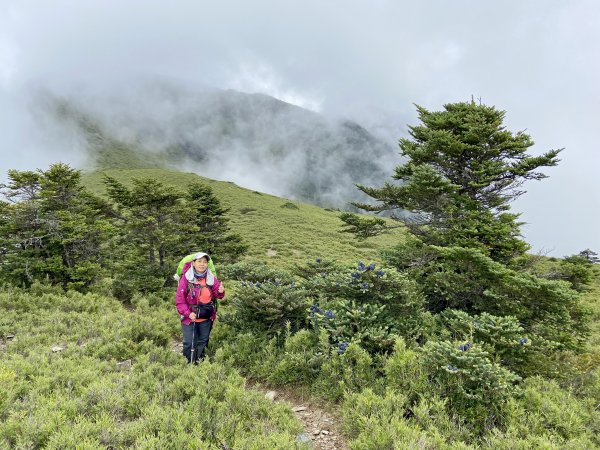 雪山西稜逆走（5天變6天）D3 2021/9/251478976