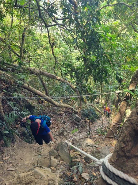 南化龍麟山（王爺崙山）O型952454