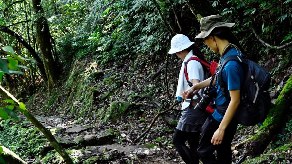 淡蘭古道中路（闊瀨崩山坑環線）989186