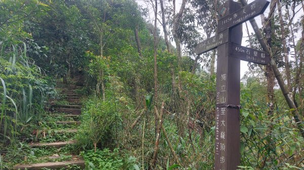 雲嘉九連峰1438990