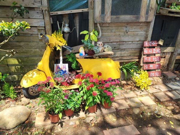 藤山步道-(彰化)臺灣百大必訪步道2471103
