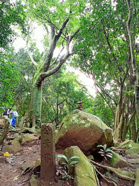 【臺北大縱走 1】盤根錯節的忠義山步道→小坪頂路→下青礐步道→清天宮1627545