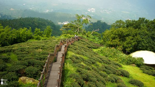 竹坑溪步道踏青183540