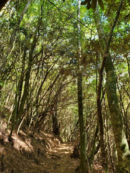 新山馬崙山八壯士登山口1161996