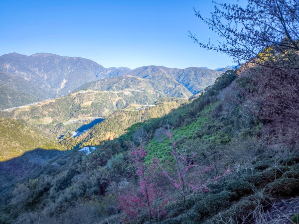 2025-02-16 巴蜈縱走2714303