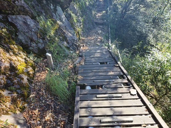 [玉山尋寶任務-07/12] 2025_0824 八通關雲龍瀑布步道2870625