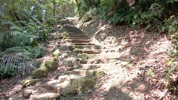 基隆市海興森林步道-情人塔-老鷹岩-情人湖登山步道O型3092717