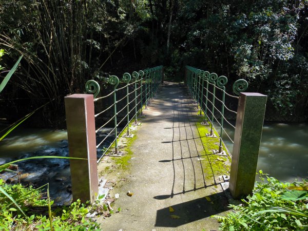 2024-08-22 澀水森林步道2578399