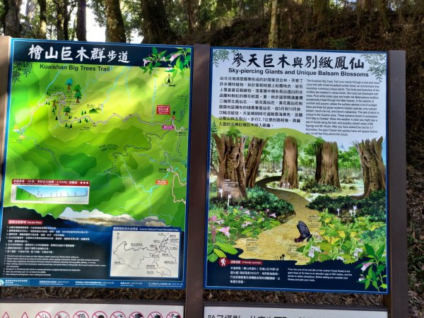 【新竹縣五峰鄉】檜山巨木森林步道2833690