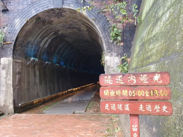 貓貍山公園，功維敘隧道1140925