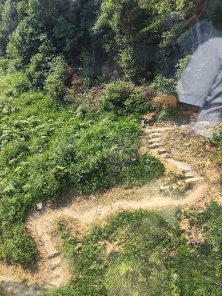 近幾八幡(八幡神宮ˊ八幡山)3089861
