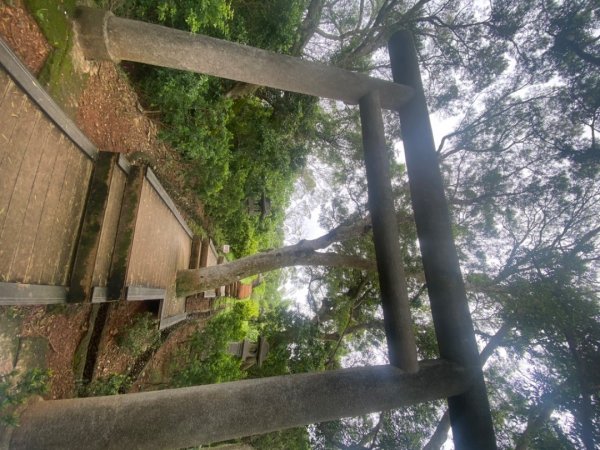 200731探索貓仔最愛的神社之旅1089941