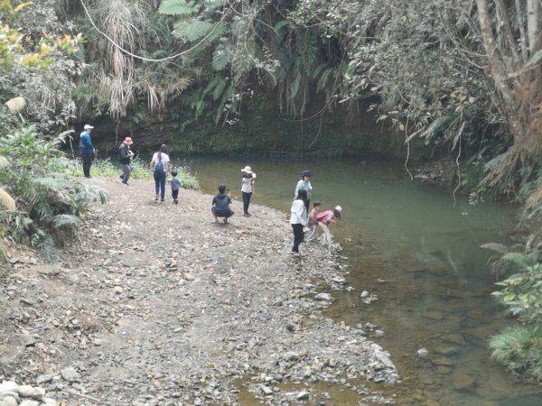 南投魚池澀水森林步道1631407