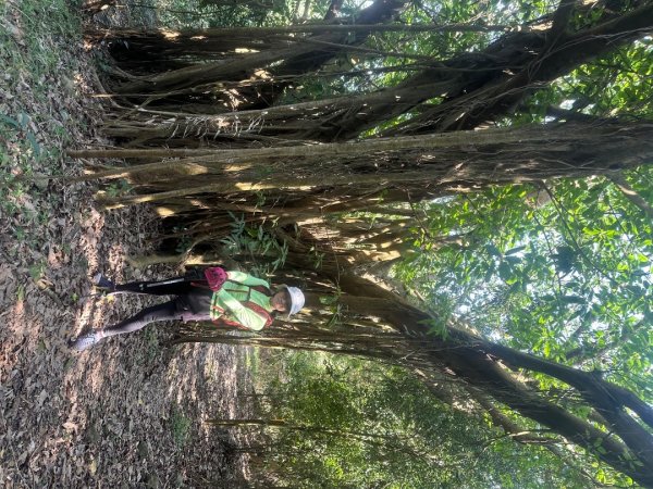 高雄美濃月光山2734923