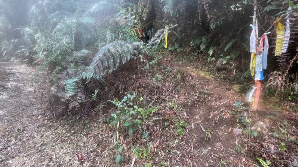 過坑山快閃2685077