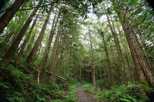 宜蘭 大同 加羅山2890254