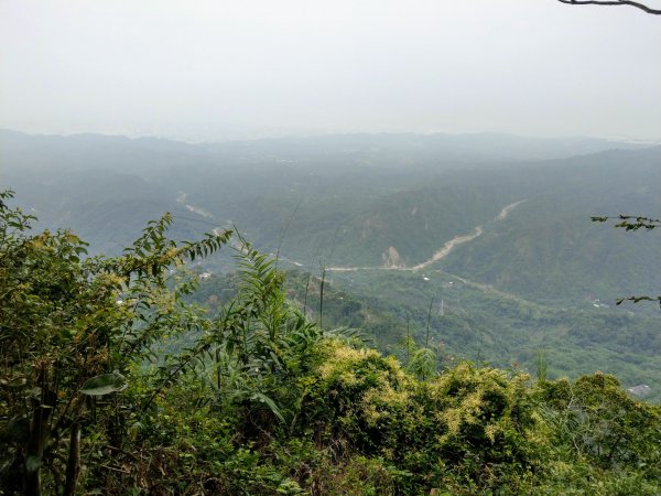 暗影山(小百岳#44)步道 2020/10/171429192