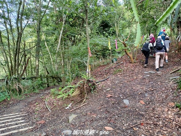 【南投信義】望鄉部落抬頭見玉山。 獵人古道連走、望美山、瓊山2274299