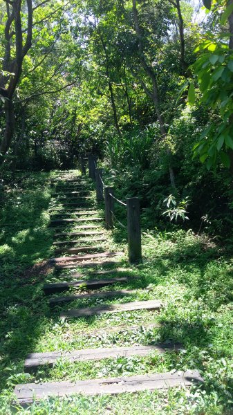 二叭子植物園步道582942