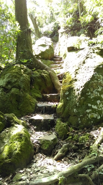 太極嶺-五城山-文筆山105.05.1351326