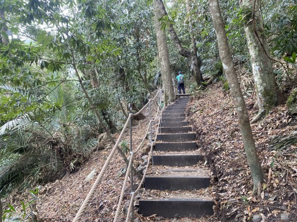 《雪山坑登山步道｜巨人之手森林秘境 Xueshankeng Hiking Trail & Giant2971066