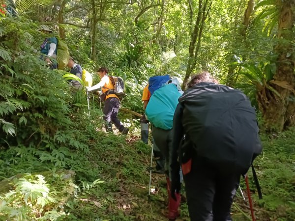 雙溪區大湖尾古道+灣潭古道O型2874793