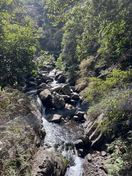 蝶夢八唐搜尋失蹤者 2025.11.252954291