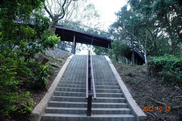 南投 埔里 虎子山1879987