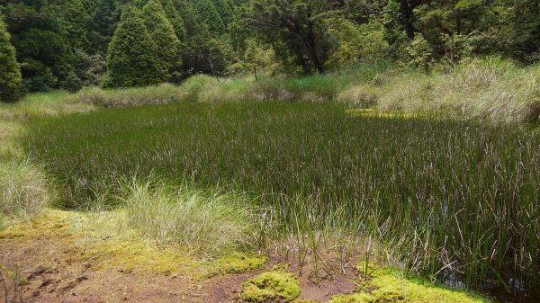 三星池登山健行趣1789869