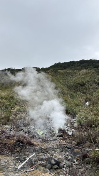 漫遊陽明山2951917