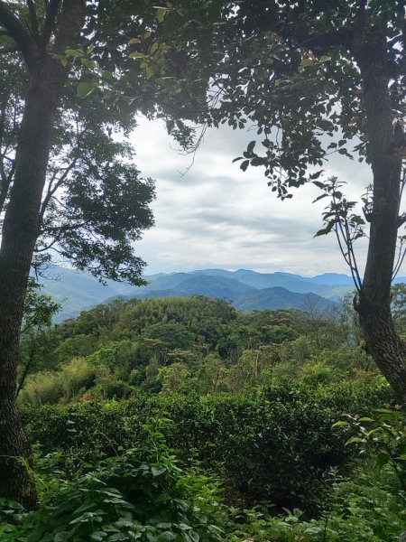 微笑山線之望月亭段2849031