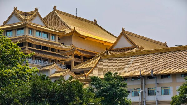 【台灣健行】不負春光：與花旗木在天臺山的相遇3033578