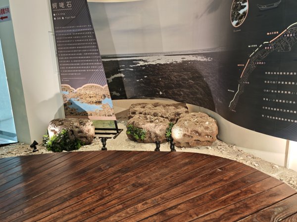 [霄裡好風光，運動樂悠遊！-2/10] 2025_0608 永安海螺文化館2808091