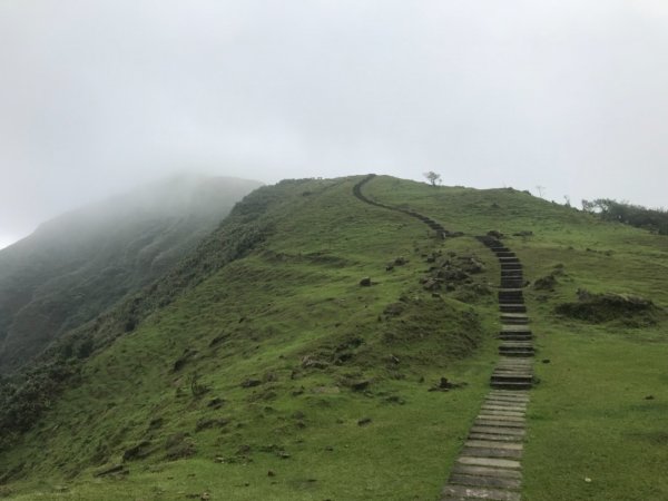 草嶺古道、桃源谷步道2124482