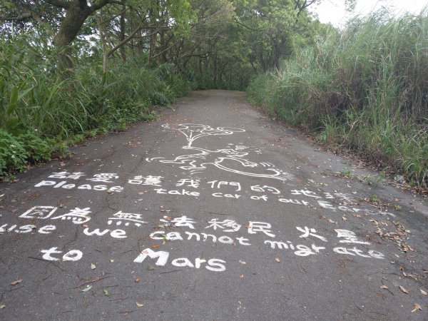 新店小獅山訪11座涼亭縱走待老坑山尋山頭902167