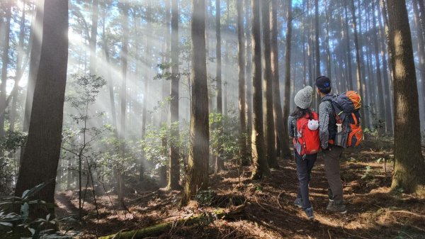 【高島縱走】一日縱走首選~魔幻、療癒、迷霧森林步道