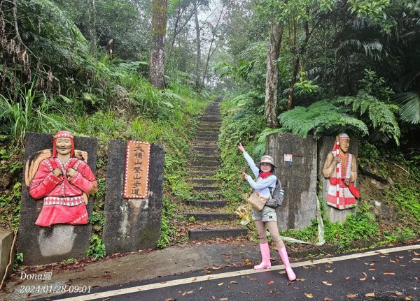 烏來大桶山.大桶山東峰.四崁水山2450695