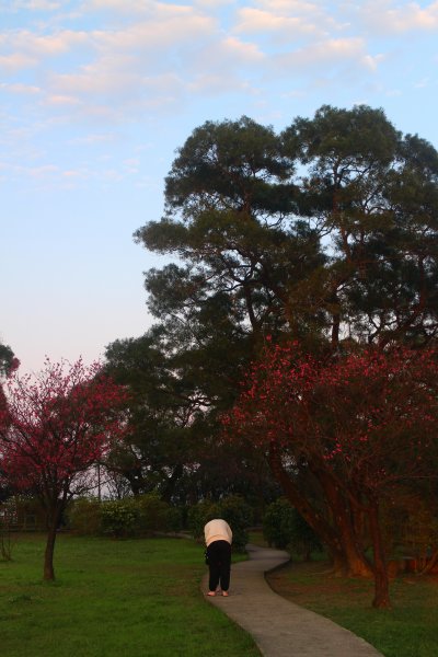 基隆．中正公園支線 中砂登山步道2023/02/122042423